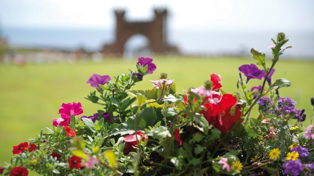 The Belmont Hotel - Adults Only Sidmouth Eksteriør billede